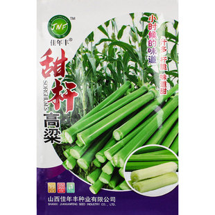 ������U�N�Ӵ����ļ�������U�����������N�����J�N����N��