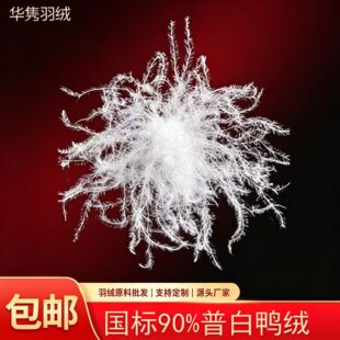 �A�h��q���q90%�����q���˸��坍�ȸ�����Դ�^���S�����