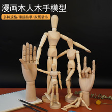 绘岳人偶模型素描学生漫画木人木质偶人关节人偶手静物木头人
