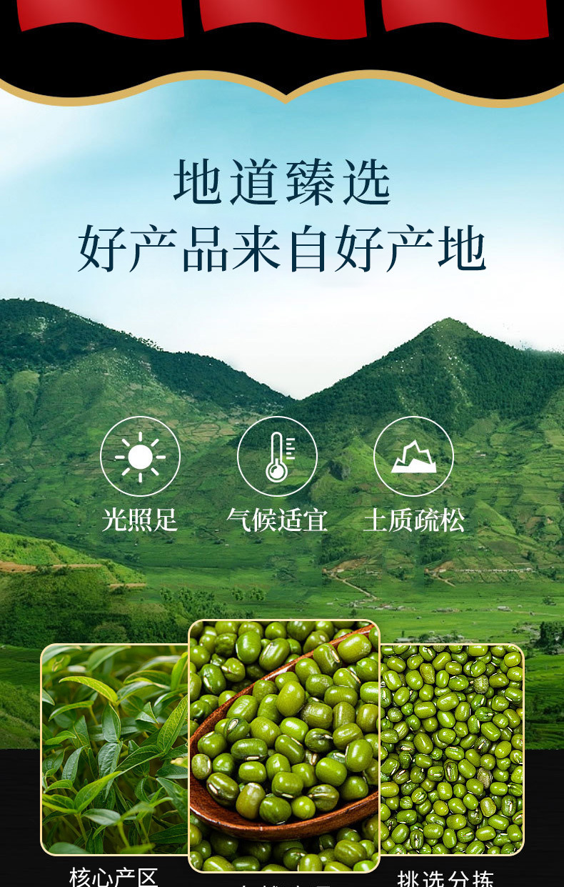 Mung Bean (Vigna radiata) — Dried Food-Herb Legume for Congee, Soups & Cooling Teas, 500g key features