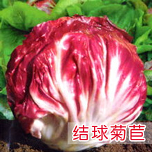 �t�Y����ķN�� ������M�ڰ��^��������������������ļ��N����