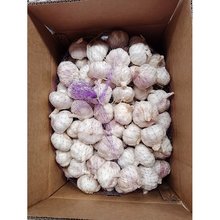 ���|����ɽ�|����ƿ�b