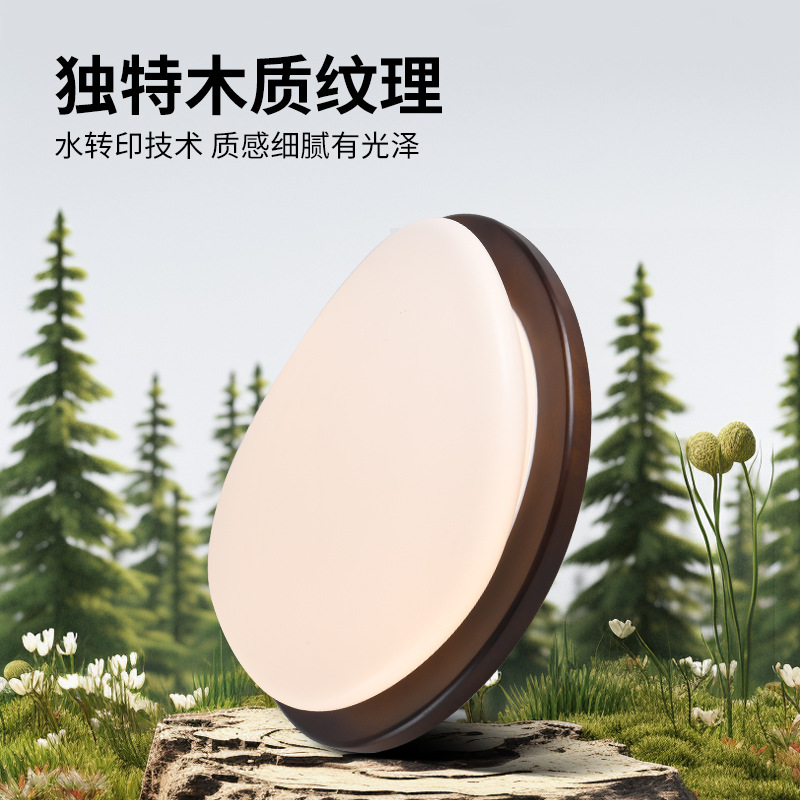 Gran vista jardín lámpara de techo 2026 nueva lámpara de habitación creativa nueva atmósfera china lámpara de dormitorio luminaria zhongshan 357L