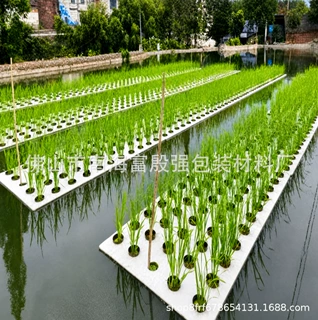 厂家批发EVA种植板漂浮板 无土栽培浮床水培专用 可降解定植板