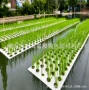 水培种植可降解浮床eva