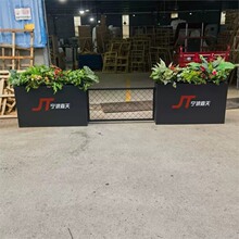 ���ⲻ�P䓻���M����\�廨������ͥԺ¶̨��·�Fˇ�Nֲ�����Gֲ