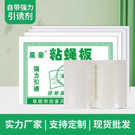外贸新品粘蝇纸苍蝇贴现货家用强力粘蝇蚊板粘蝇胶苍蝇纸粘虫板