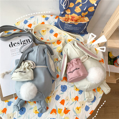 Korean Version Cute Rabbit Canvas Crossbody Bag for Students, 2023 New Arrival Large Capacity Zero Waste Wallet Bag