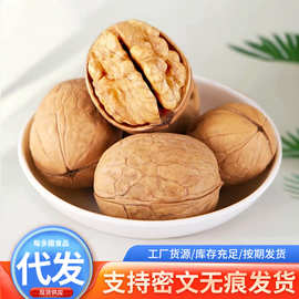 纸皮核桃新疆核桃薄皮 原味生核桃手剥烤核桃核桃大果生核桃