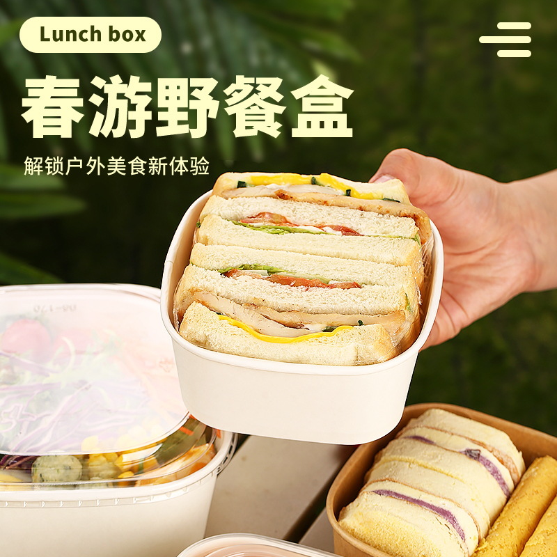 picnic box lunch box spring outing camping outdoor supplies disposable lunch box packing box fruit box food grade lunch box