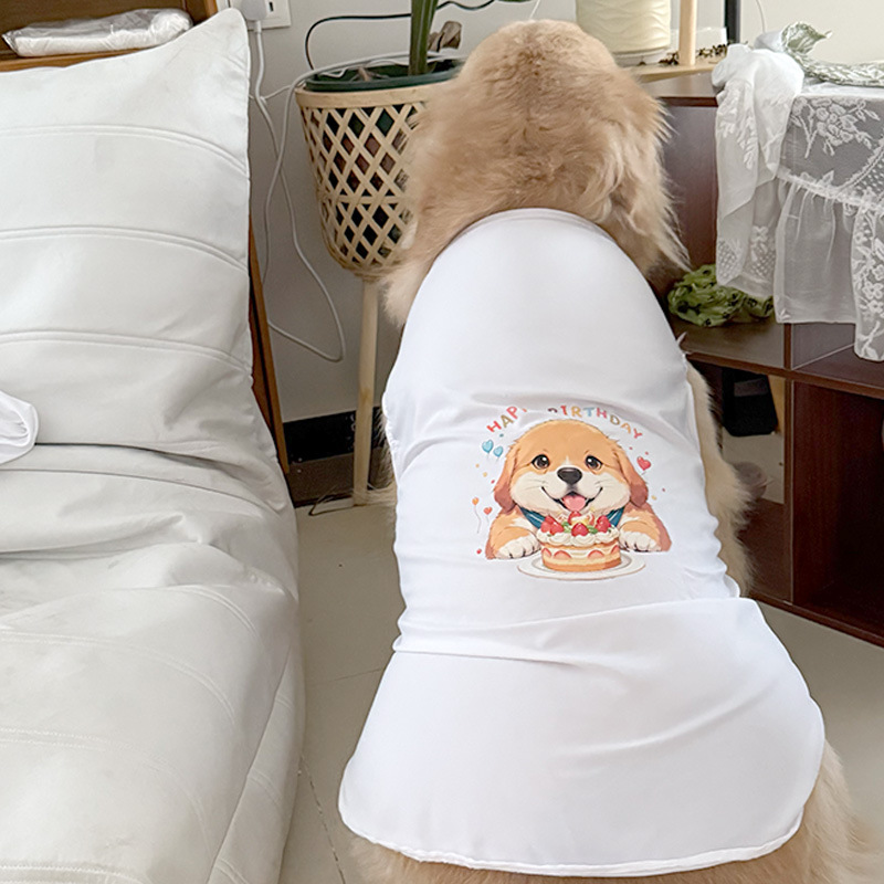 흰색 조끼 생일 시리즈 골든 리트리버