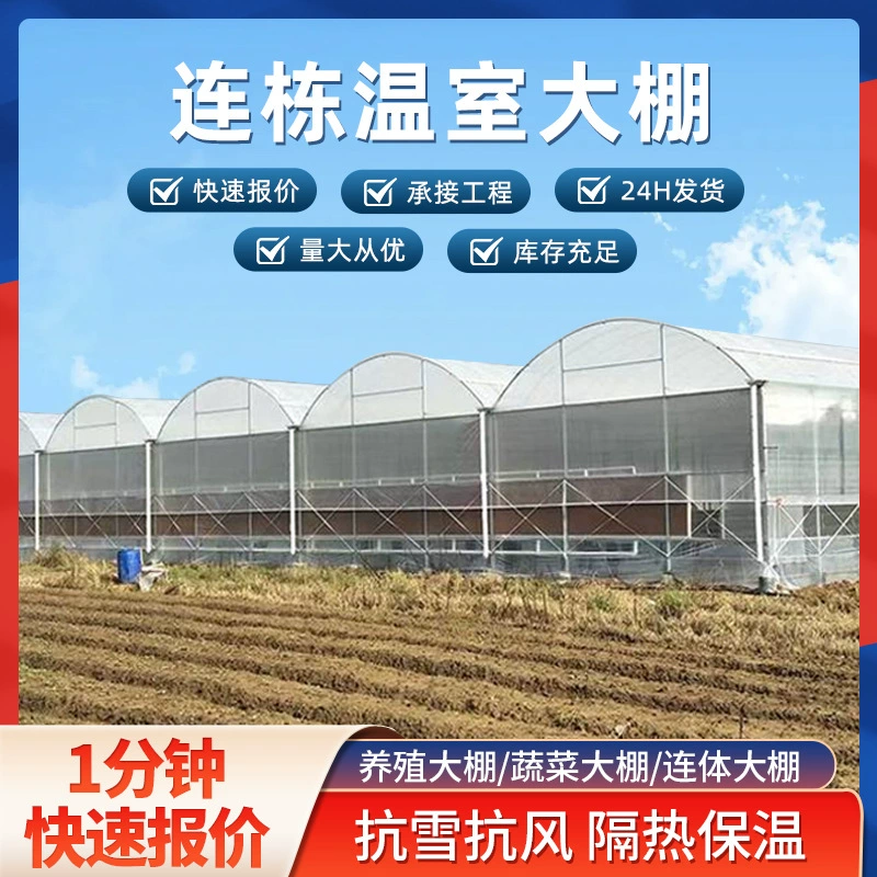 Индивидуальная многопролетная теплица для выращивания клубники, многопролетная теплица с металлическим каркасом для разведения рассады.