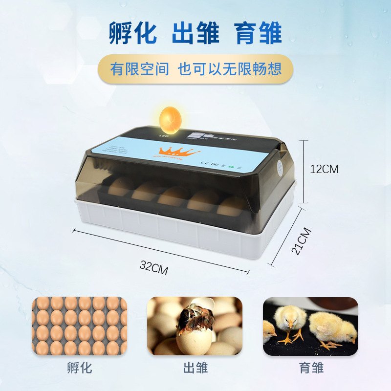15 pequeño hogar incubadora experimental enseñanza pequeña granja incubadora automática pollo pato codorniz incubadora