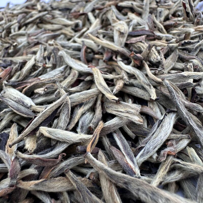 Fuding White Tea First Harvest Rice Grain Old Silver Needle White Tea Wholesale Ancient Tree Tea Premium Quality Fuding White Tea First Harvest Rice Grain Old Silver Needle White Tea Wholesale Ancient Tree Tea Premium Quality