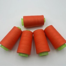 ���u��һ���I��NҎ��204��]�p�x�� �F؛1000�a �־� �񲼾�