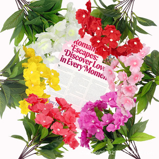 ���u�羳������滨����7���P�ɻ� ���N���Ӽһ��@��Y�b��N��