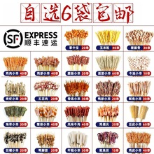 手把新鲜腌制油炸的铁板食材串装半成半成品串网红烧烤小串钵钵鸡