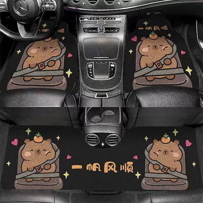 Mats in the Car, Dust Removal, Universal Foot Pad