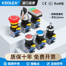 KEOLEAo_PԏСi A22mm ӼͣĢ耳cԴ