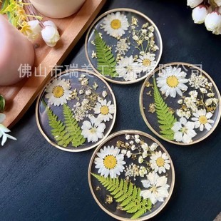 Դ�^���Sins�L�滨�ɻ����z���| ͸����֬����| �����b[��