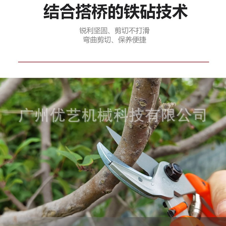 德国狮牌LOWE8104/07/09花剪修枝剪花艺剪刀修花盆景园艺鲜花剪子