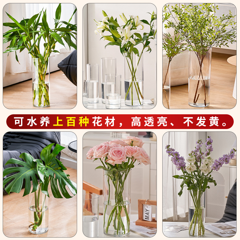 Jarrón transparente anticaída, cubo para flores, recipiente hidropónico de bambú para cultivo en agua, recipiente hidropónico de plástico acrílico anticaída