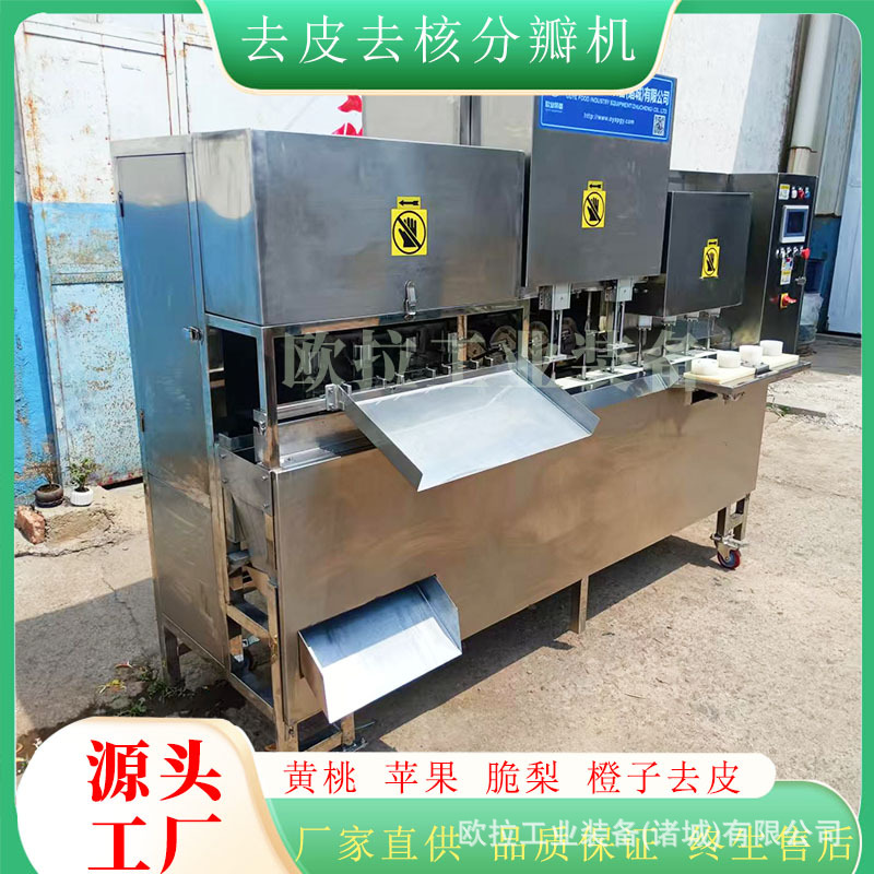 柠檬 苹果去皮去核设备 工业削皮去核机器 全自动去核加工生产线