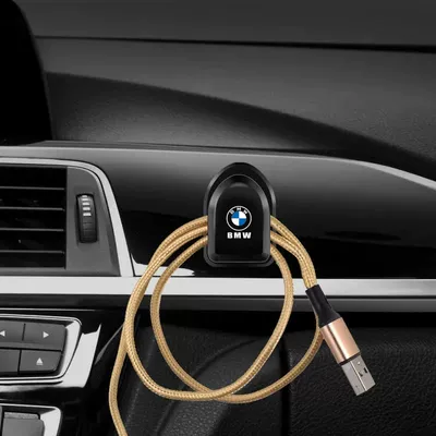 Front Seats of the Car, Dual-Use, Car hanging