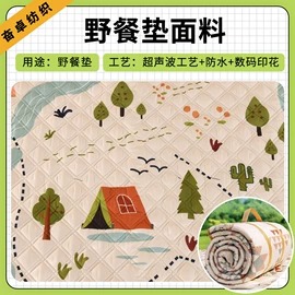 涤纶面料;尼龙面料;其他化纤面料