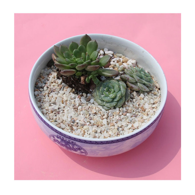 ��ɫ����һ��ɫ��ʯ|�����ɰ΢����װ����������ʯС��װ������