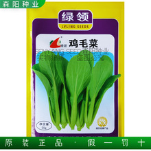 綠領雞毛菜種子苗秧四季速生小青菜上海青夏綠蘇州青全國蔬菜種籽
