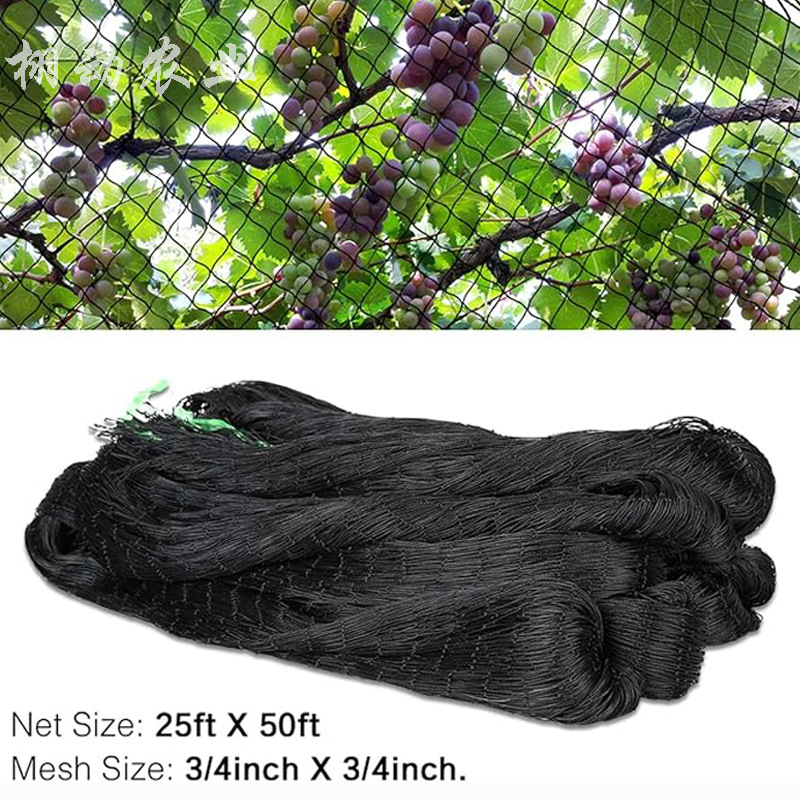 Fuente transfronteriza red de protección de nylon red de protección de pájaros de jardín negro red de protección de pájaros red de protección de jardín de nylon pesado