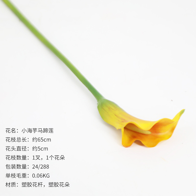 오렌지