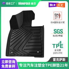 适用于雷克萨斯ES300hES200RX300RX350NX260UXC汽车全注塑TPE脚垫