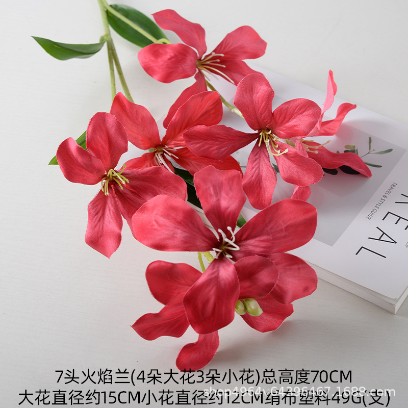 밝은 빨간색의 불꽃 난초 7개