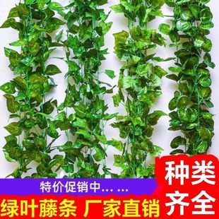 ����G�jֲ��پG�~�ٗl����������������~���滨�bܵ��p�@