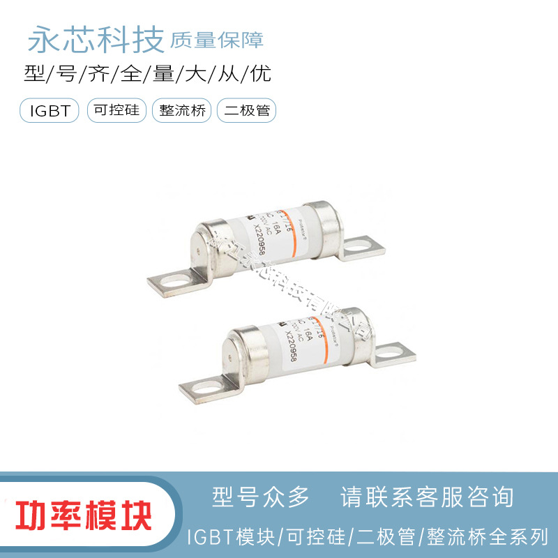 BS17GB69V12  BS17GB69V16  BS17GB69V20原装快速熔断器全新现货