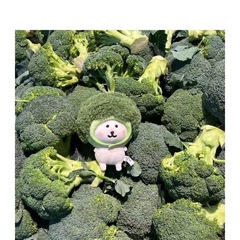 10cm野菜シーブルーフラワーヌードルボディ15コットン人形海の星のchiiawaの子供服の頭のカバーが可愛いです。
