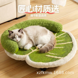 �ļ�؈������ɳ�l�F����������С��Ȯ�C�|؈��ĥצ˯�X����؈ɳ�l