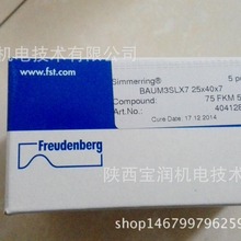 Simrit�����z�Ǽ��ͷ�  BAUMSLX7 25X40X7  410111