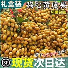 顺丰现货   5斤广东鸡心黄皮果新鲜水果正宗无黄弹子当季整箱包邮