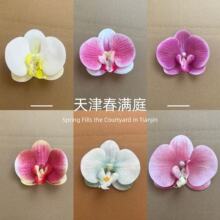 �����m���滨 �����m���^ �L�η�����m���^��c���ֶYDIY�bY