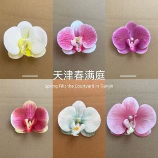 �����m���滨 �����m���^ �L�η�����m���^��c���ֶYDIY�bY