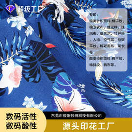 数码印花 纯棉童装布料数码酸性印花加工来图来样包料数码直喷印