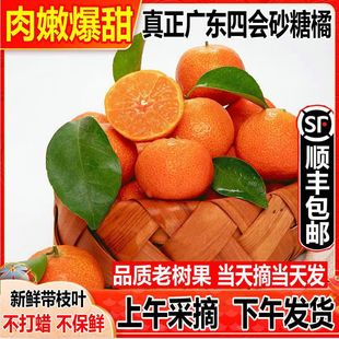 �ĕ�ɰ���ٱ�Ƥ�cɳ�ǽ������䮔��ˮ����