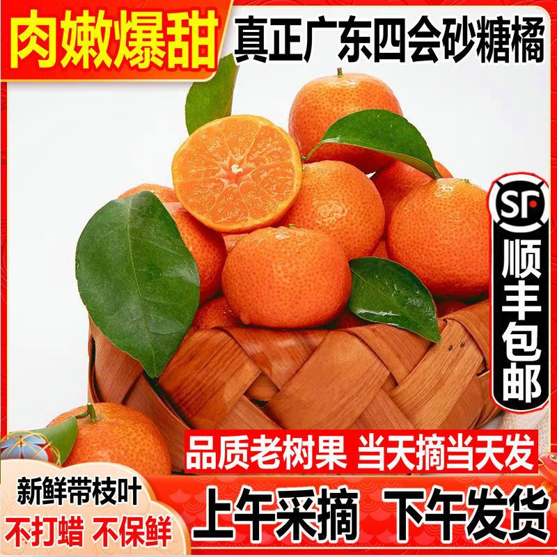 广东四会砂糖橘薄皮德庆沙糖桔子整箱批发当季水果顺丰包邮