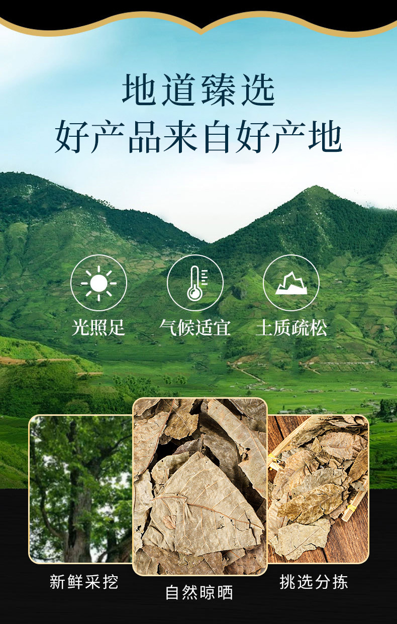 Qing Qian Liu Leaves (Cyclocarya paliurus) — Dried Food Herb for Herbal Tea, 500g key features