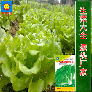 �ļ����������߲˷N�ӷN�Ѱ��b���~���˲˷N�S���߲˴��bһ�����l
