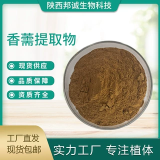 香薷提取物 10:1 香薷粉 香薷萃取粉 香薷喷干粉 现货供应