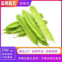 SlNⶹNNĽǶ֧߲ܶ˷Nl